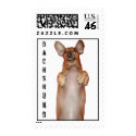 Dachshund Postage postage