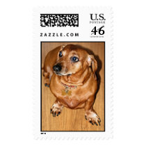 Dachshund postage