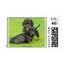 Dachshund postage