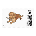 Dachshund Postage Stamps