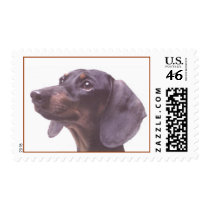 Dachshund Stamp