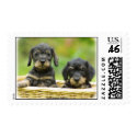 Dachshund postage