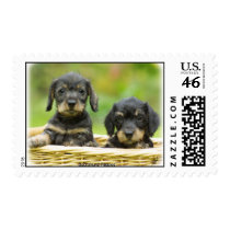 Dachshund postage