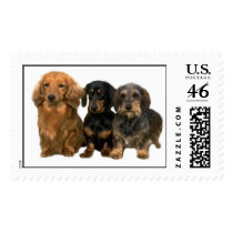 Dachshund Postage