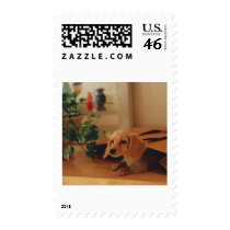 Dachshund Stamp