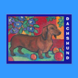 Dachshund Postcard