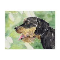 Dachshund Post Cards