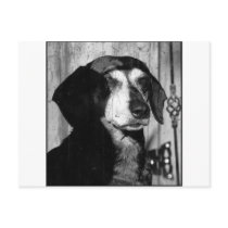 Dachshund postcards