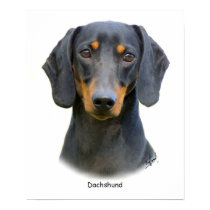 Dachshund posters by TraffordPhotos Dachshund posters