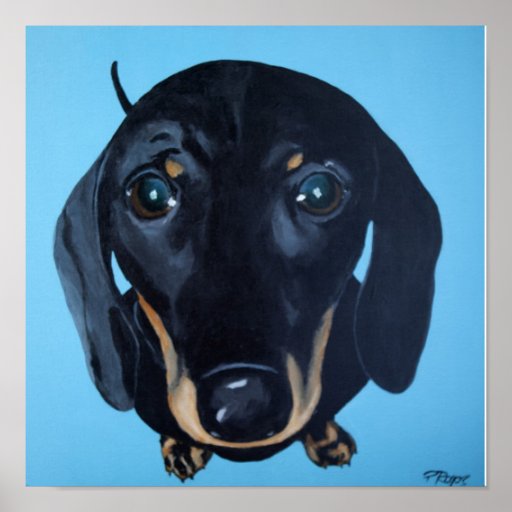 Dachshund Poster Zazzle