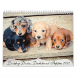 Dachshund Puppies 2013 Wall Calendars