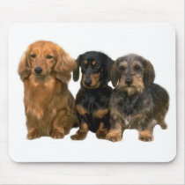 Dachshund Puppies Mousepad by normagolden Dachshund Puppies Mousepad