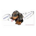 Dachshund Puppy Attitude Poster posters by blawhorn68 Dachshund Puppy Attitude Poster posters