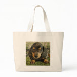 Dachshund  Puppy (Black/Grey) on the Lake bags