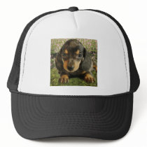 Dachshund  Puppy (Black/Grey) on the Lake Hat