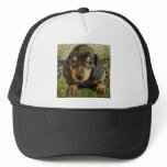 Dachshund  Puppy (Black/Grey) on the Lake hats