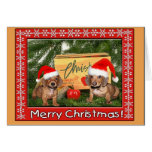 Dachshund Puppy Christmas Greeting Cards