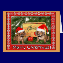 Dachshund Puppy Christmas cards