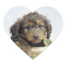 Dachshund puppy in basket heart sticker