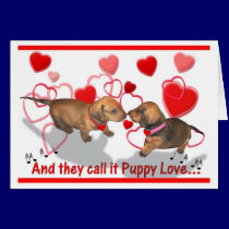 Dachshund Puppy Love cards