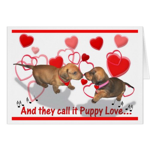 Dachshund Puppy Love Greeting Card