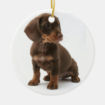 Dachshund Puppy Ornament