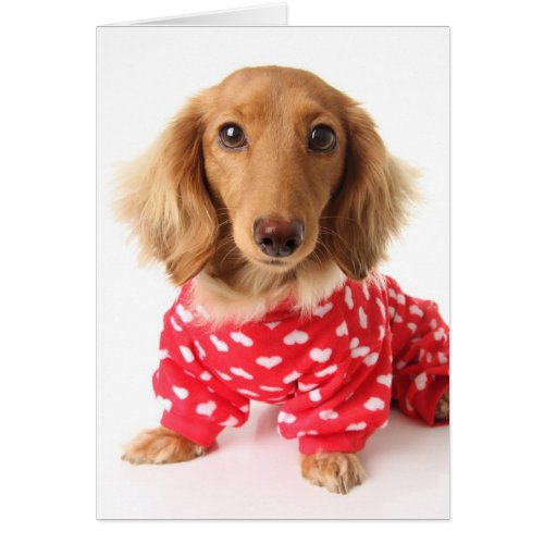 Dachshund Valentine's Outfit Greeting Card