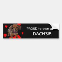 DACHSHUND Puppy with Hearts Bumper Stickers