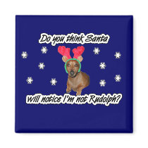 Dachshund Reindeer Magnet by mikek92349 Dachshund Reindeer Magnet