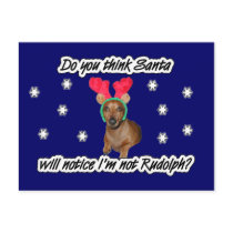 Dachshund Reindeer Postcard