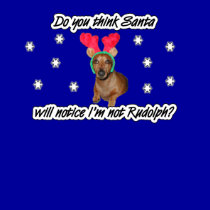 Dachshund Reindeer Shirt