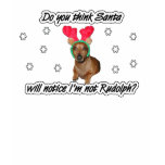Dachshund Reindeer Shirt