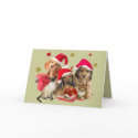 Dachshund Santa Paw Greeting Cards card