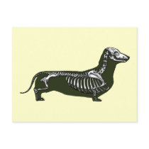 dachshund skeleton post cards