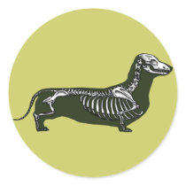 dachshund skeleton sticker
