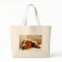 Dachshund sleeping canvas bag