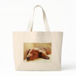 Dachshund sleeping canvas bag