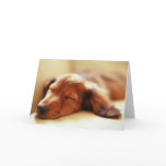 Dachshund sleeping cards