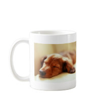 Dachshund sleeping mugs