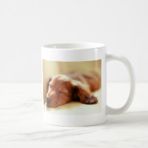 Dachshund sleeping mug