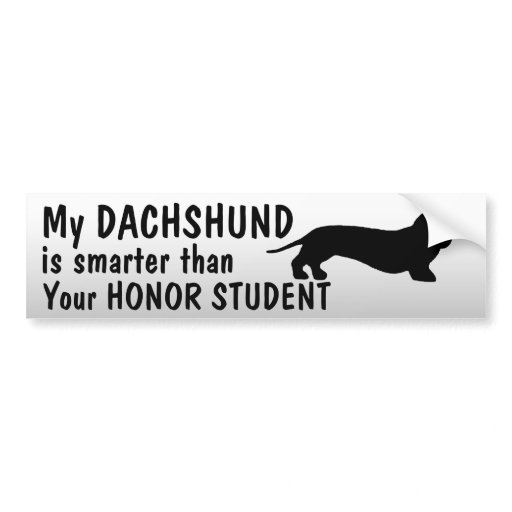Dachshund Smarter than honor student funny Car Bumper Sticker Zazzle