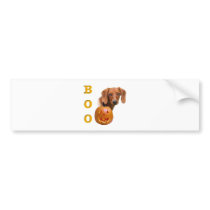 Dachshund (smooth) Boo bumper stickers by GreyWolfCreation Dachshund (smooth) Boo bumper stickers