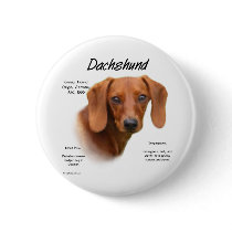Dachshund (smooth) History Design Pin
