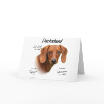 Dachshund (smooth) History Design Greeting Card