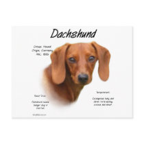 Dachshund (smooth) History Design Postcards