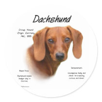 Dachshund (smooth) History Design Round Stickers