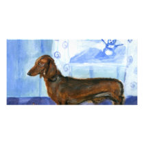 Dachshund snowman photo cards by zadajeanne Dachshund snowman photo cards