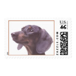 Dachshund Stamp