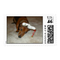 Dachshund stamp - Reluctant reindeer by shortydachshund Dachshund stamp - Reluctant reindeer