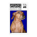 Dachshund Stamps - dark blue